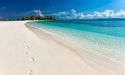 image_10548